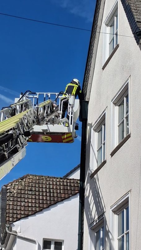 Feuerwehr befreit im Regenrohr eingeschlossene Tauben
